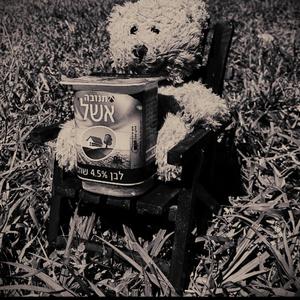 דברים ששמעתי (feat. דובי אשל, טלי גורדין ביטון, ורד פליישר)