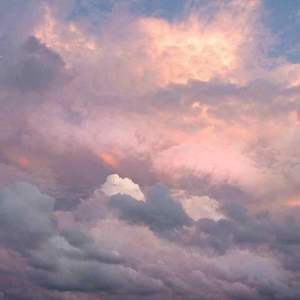 达尔文（cover 蔡健雅）