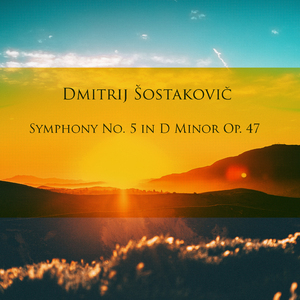 Symphony No. 5 in D Minor, Op. 47:I. Moderato
