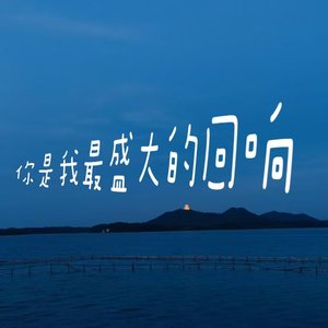 你是我最盛大的回响