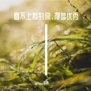 看不上我的你，得有多优秀 伴奏