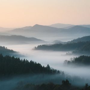 夜色深远
