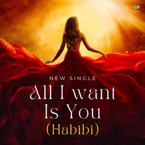 All I want Is You (Habibi)