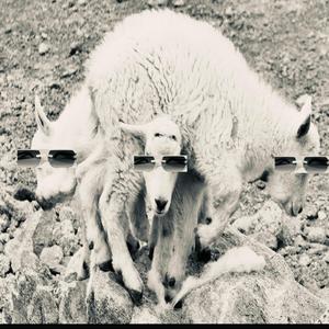 4Headed Goat (feat. Khi 500, LocalChris & Almighty Doug)
