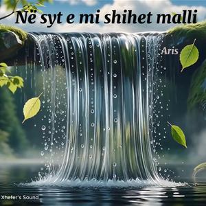 Në Syt e Mi Shihet Malli