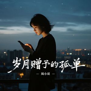 岁月赠予的孤单（DJ沈念版）