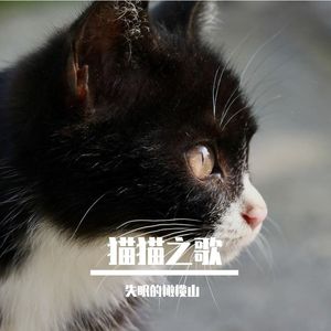 猫猫之歌