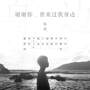 谢谢你，曾来过我身边