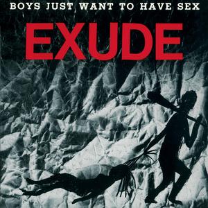 Boys Just Want to Have *** (Radio Edit)