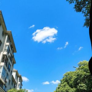 远山含翠雾蒙蒙