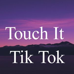 Touch It (Remix)