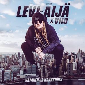 Vatanen Ja Kankkunen