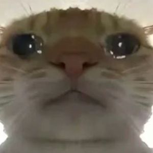 我爸得了MVP (奶龙+哪吒版)