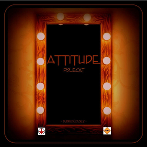 Attitude