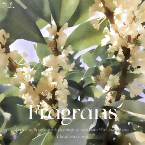 Fragrans 2