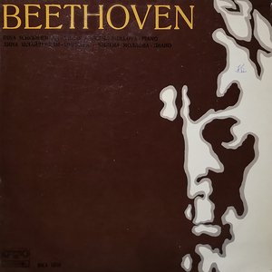 Sonata For Violin And Piano No.1 In D, Op.12 No.1: 1. Allegro con brio
