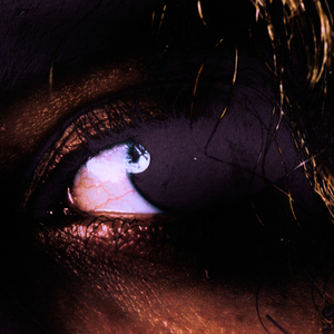 Angels (Affamé #17)