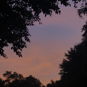 我真的不想Emo(Prod By RoyalBoi)