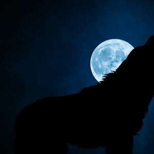 Nigh Wolf
