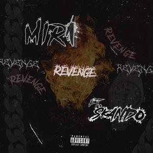REVENGE (feat. Skando)