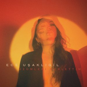 Üzümleri Beklettim