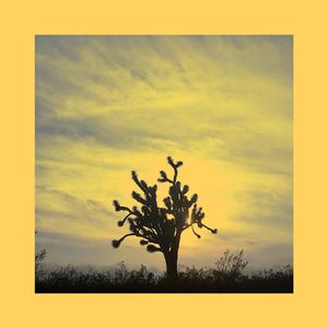 Ser (feat. Ren & Majo)