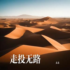 我就是答案