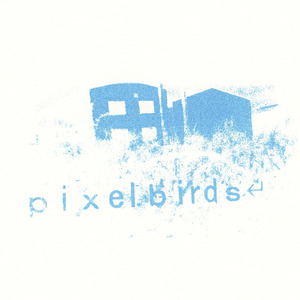 pixelbirds