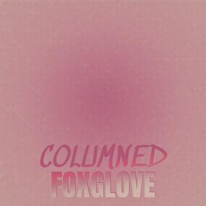 Backswept Directional