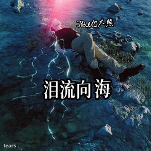 泪流向海 - 泪海