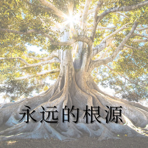 永远的根源