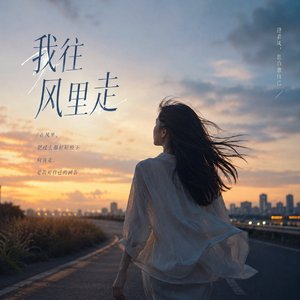 我往风里走.wav