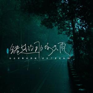 错过的那场大雨