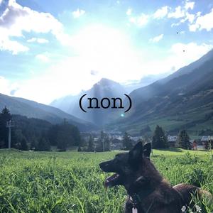 y'a de l'espoir les jeunes (non)