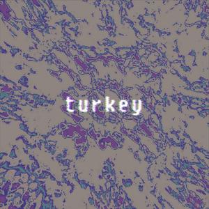 turkey