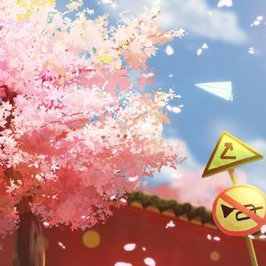 樱花散落的夏天