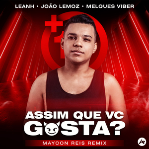 Assim Que Vc Gosta? (Maycon Reis Remix)