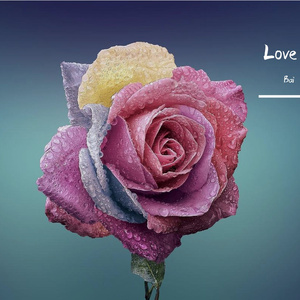 Love is like this song