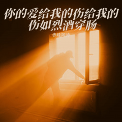 你的爱给我的伤如烈酒穿肠