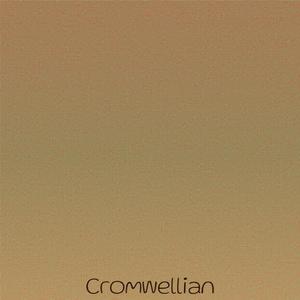 Footstool Dynamometer