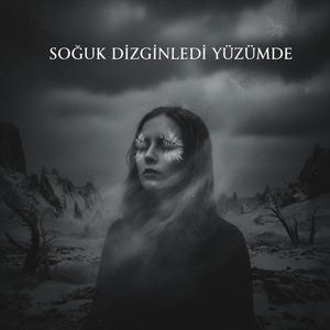 Soğuk Dizginledi Yüzümde