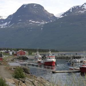 Clarinet Trio in D Major, Op. 4: A Summer Day
