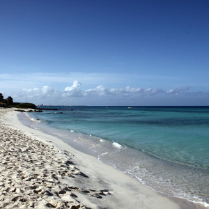 Saaba