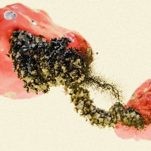 Devotion (Radio Edit)