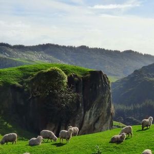 Go There With You (speed up)