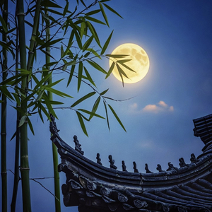 何训田 - 千江月.ape