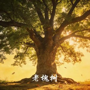 老槐树