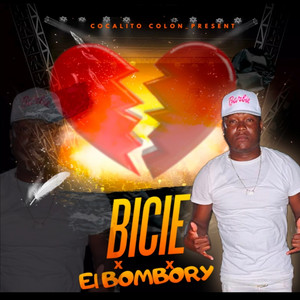 Bicie