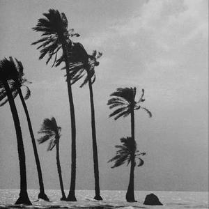 叮叮梆梆（cover李方丁/李棒棒）（翻自 李方丁）