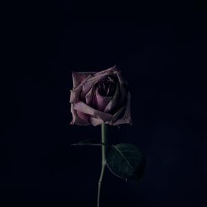 Love But Not Own (Prod.by 顺赢INKA)